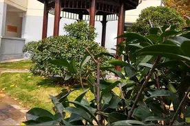 双层的防腐木亭，你见过吗图片