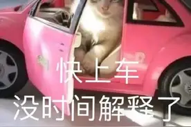 表情｜快上车，没时间解释了图片