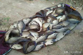 扎蛤蟆钓法的操作要点，黑坑不会这一招，鱼要被人抢光图片