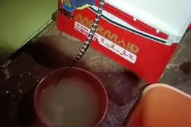 “吃席蛇”广西男子夜钓遇毒蛇，网友“咬一口，一村人吃三天”图片