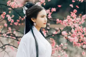 农村俗语“豆腐不能当饭，桃花不要多看”什么意思？有道理吗？图片