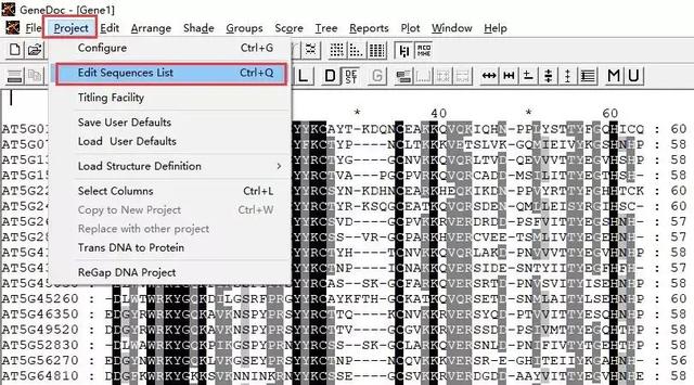 GeneDoc绘制漂亮的多重序列比对图