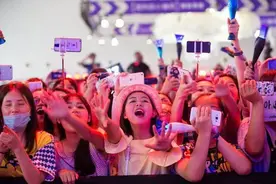 畸形“饭圈”之粉头应援打榜——已涉嫌集资诈骗罪图片