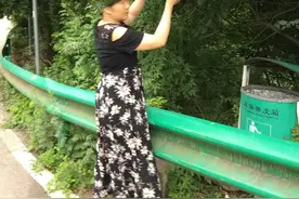 家乡的野枇杷冰粉图片
