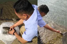 广西男子江边放生，黑鱼多次游回，网友质疑“用绳拉”当事人回应视频封面