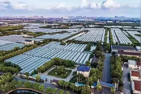 上海市近郊农村撤并的良好实践：嘉定区可以保留农田，让村宅消失图片