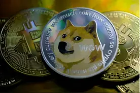 狗狗币十天暴涨450％，马斯克力挺，是泡沫还是第二个比特币？图片