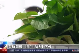 男子微信群里“抢红包”，不到一年就输掉上百万！警方调查发现群成员身份不简单图片