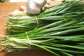 农村老话“六月韭臭如狗，九月韭佛开口”是啥意思？看完涨知识了图片