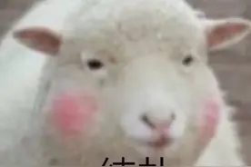 挖宝|买了又买的好物~性价比爆表的的饰品护理美妆来一波~图片