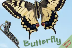 最强DK百科全书上百本大合辑图片