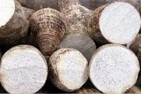 芋头是碱性食物特别适合秋天吃，又酥又沙，软糯香甜，不要错过了图片