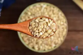 把种子送上太空，到底有啥用？种出来的东西更大？远不止这些图片