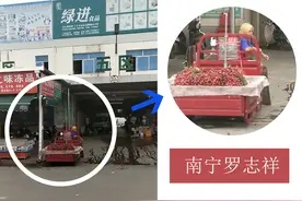 南宁罗志祥：曾经大红大紫，而今沦落到街头卖水果，他走错了路图片