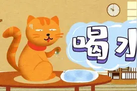 怎么才能让猫多喝水？99%的人都做错了图片