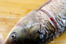 做鱼别摘除鱼腥线，另外4处才是腥味之源，处理好鱼肉鲜甜无腥味图片