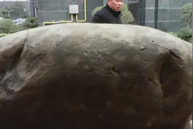 身价千万的鹅卵石裸放室外，收藏者称小区监控多，不怕盗贼图片
