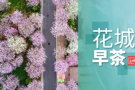 「花城早茶」动起来！广州“十四五”这么干 | 小步调整！延长打工年限原则来啦图片