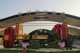 郑州市动物园明日恢复开园，取消人工售票和自助售票！图片