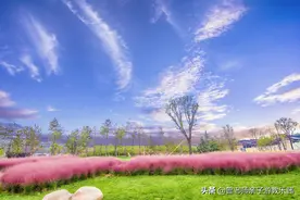 十月去哪玩？西安渼陂湖秋景上线，红粉黛，白沙滩，狼尾草，漂亮图片