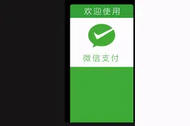 为了钱真的拼了！韩国开始普及微信支付，网友：脸真疼图片