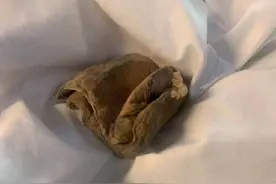 工厂男子携带丝袜进车间，偷液“炼”金获利超10万元，已被刑拘图片