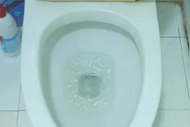 马桶堵住冲不下去？姑娘用一公斤冰块竟立马疏通！视频封面
