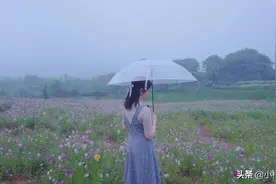 母亲恨了父亲二十多年，我从不愿带老婆孩子回家过年图片