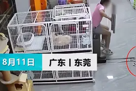 13岁少女残忍夹死小猫，家长希望不要网暴孩子：她不是故意的图片