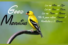 印度人喜欢给岳父、继父发祝福表情包图片