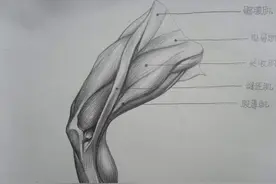 想拥细长的美腿并不难，知道自己的腿型，就能很快练出纤细美腿图片