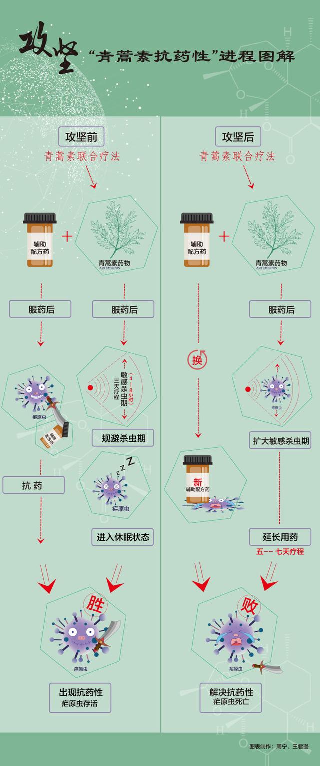 青蒿素作为多功能药物更值得关注和研发