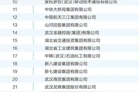 武汉企业100强名单公布！图片