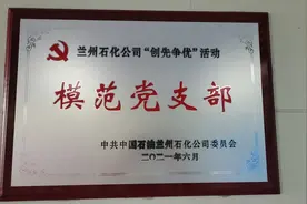 【庆七一·先进表彰】兰州石化公司模范党支部—甘肃宝石花医院外科三党支部图片