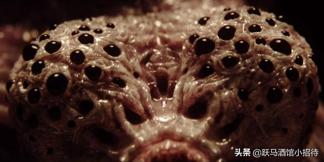 《天鹰座裂隙之外》到底讲述了一个怎样的故事（爱·死+机）