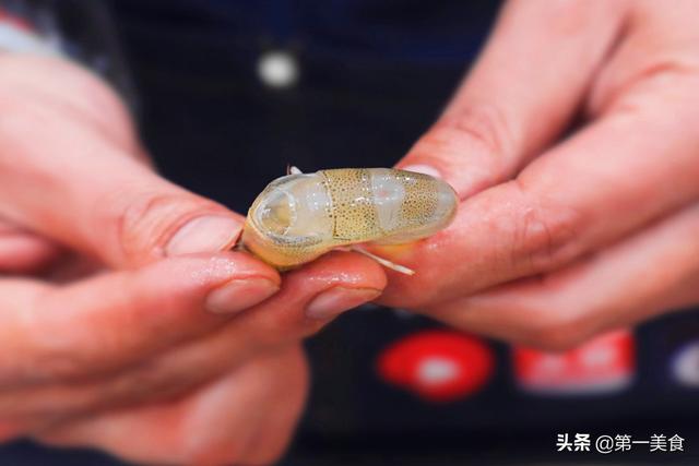 活虾虾线如何快速去除（去虾线还在用牙签太老套了老渔民教你1招）