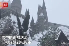 下雪才是霍格沃茨！欢迎来到哈利·波特的魔法世界图片