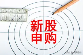 上半年A股“打新”复盘：平均获利超2万 这股单签浮盈近70万图片