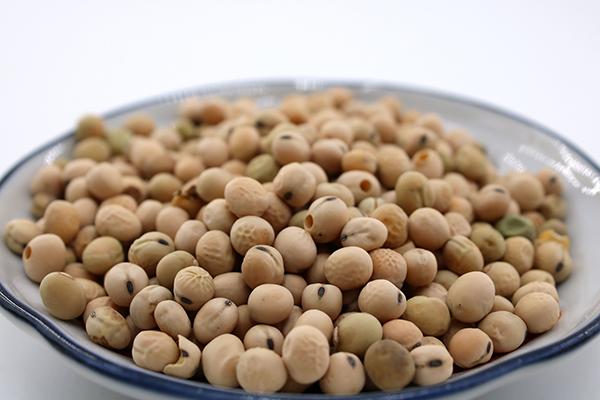 补充蛋白质不一定只能靠吃肉，这3类食物一点不比肉差