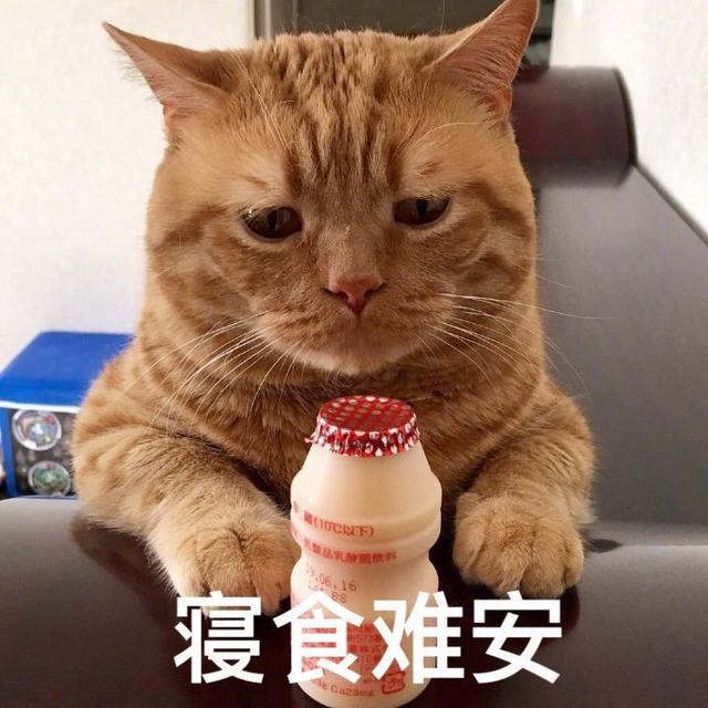 现在愈发多人养猫,有些猫咪好养,省心,但有些猫咪却特别难伺候.
