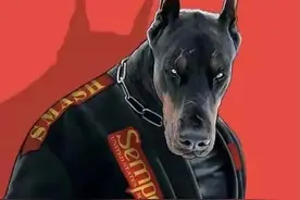 高清壁纸（175）动物格斗争霸赛3图片