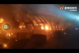 险成烤鸭！安徽蚌埠消防员帮助一大群小鸭子火口脱险图片