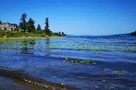 漂泊：人生终是漂泊客，风雨天涯笑江湖图片