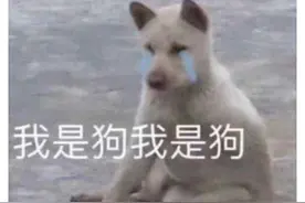 魔兽最成功的舔狗？希女王都要倒贴他，啥都没做却成了二把手？图片