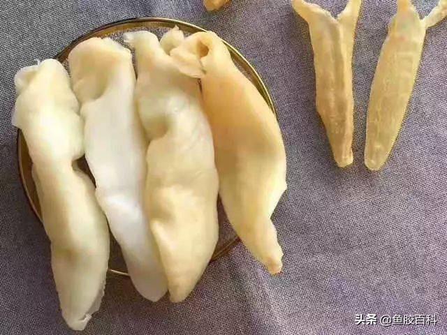 花胶的烹煮方法 2026年花胶的烹煮方法有哪些 花胶的烹煮方法 2026年花胶的烹煮方法有哪些