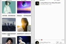 几款免费无损音质神器！高标准，高体验，仅存一天！图片
