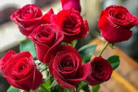 一篇文章认全花店必备80种玫瑰花，赶快收藏吧图片