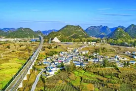 贵阳贵安高峰镇王家院村：小葡萄串起大产业图片