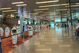 不同寻常的回家之旅—新加坡飞回南京图片