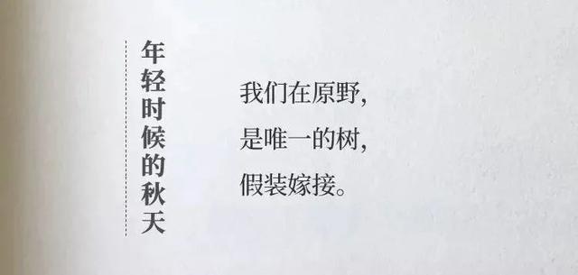 杜蕾斯的广告文案，看完想谈恋爱